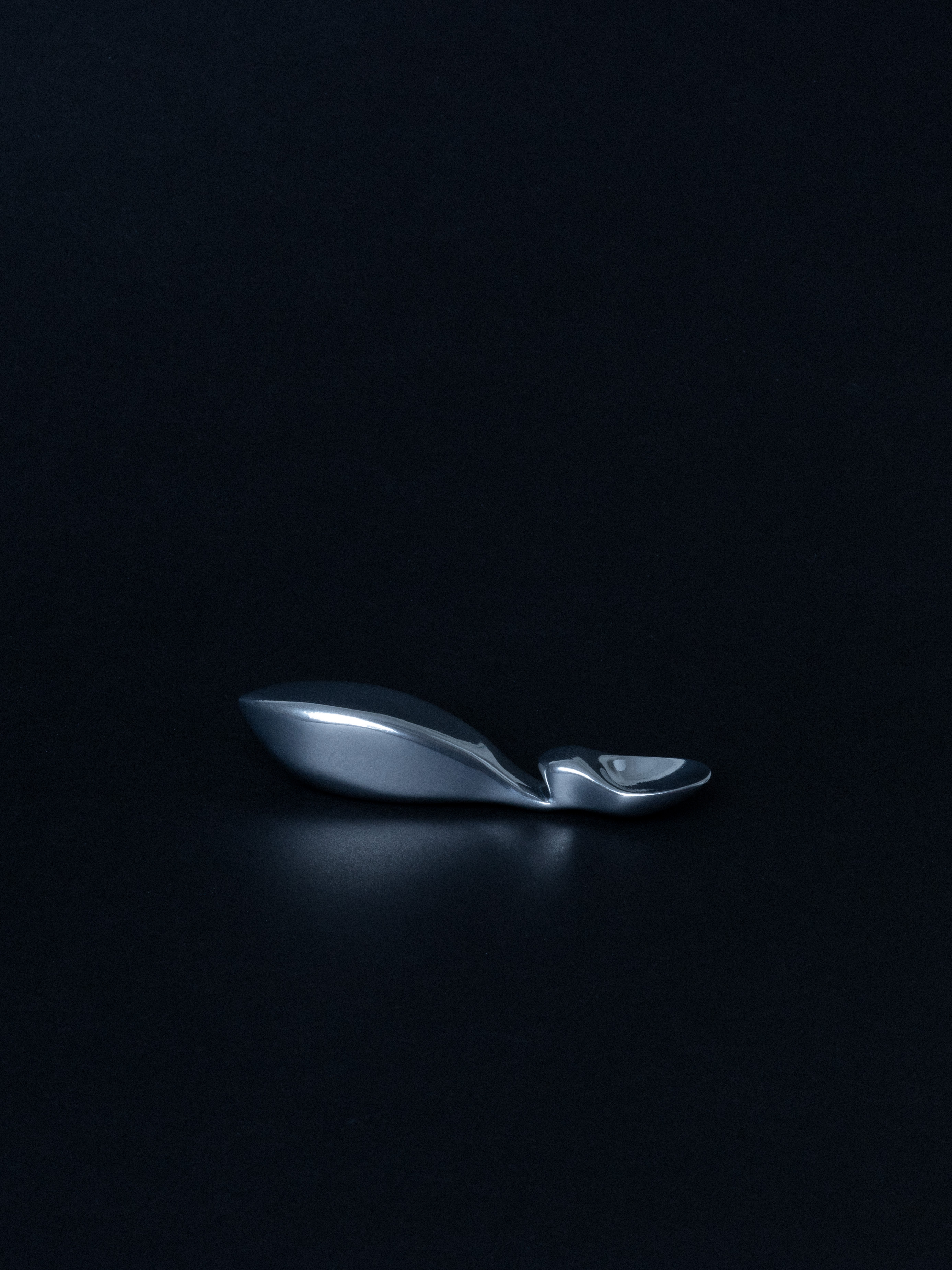PEL-I-CAN spoon