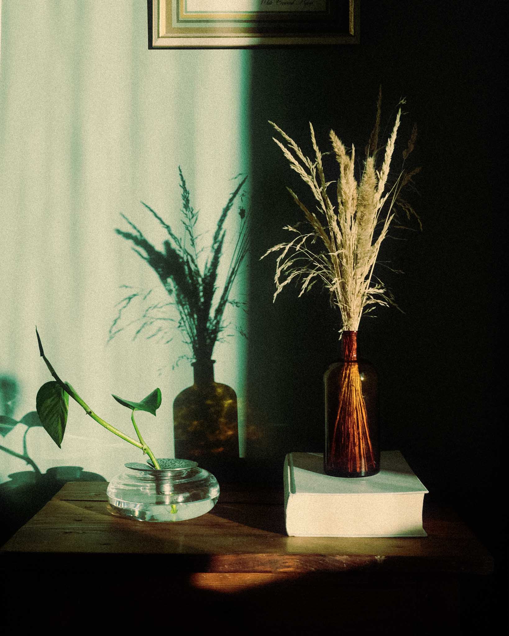 Vattenlilja project detail